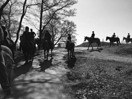 PROMENADES EQUESTRES